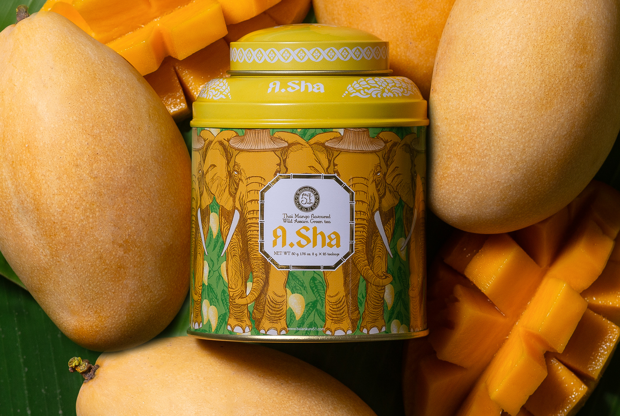A.SHA - Mahachanoke Mango Meets Century-old Wild Assam